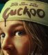 Cuckoo