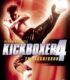 Kickboxer 4: The Aggressor