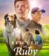 Kurtarma Köpeği Ruby