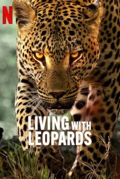 Leoparlarla Yaşam