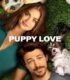 Puppy Love