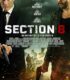 Section 8